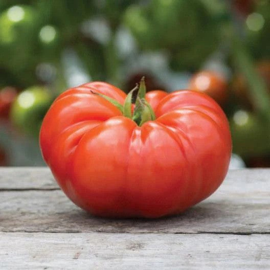 MIgardener Beefsteak Tomato Seed Packet