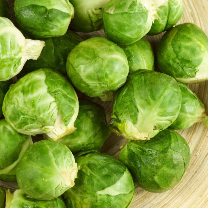 MIgardener Catskill Brussel Sprout Seed Packet