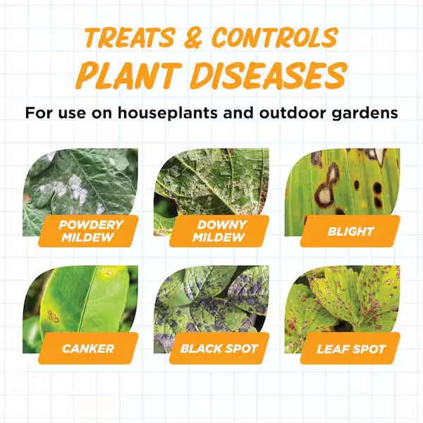 Earth's Ally Disease Control