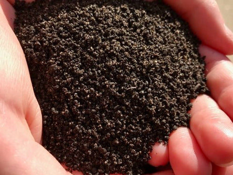 Worm Castings - 1-0-0