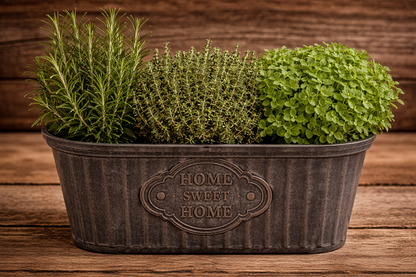 12" Oval Herb Planter - 3 Herbs Per Planter