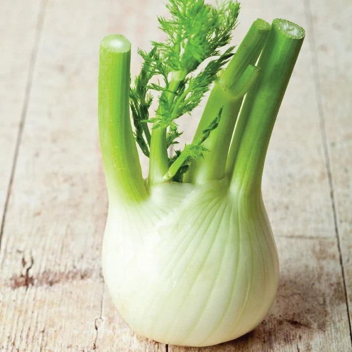 MIgardener Florence Fennel Seed Packet