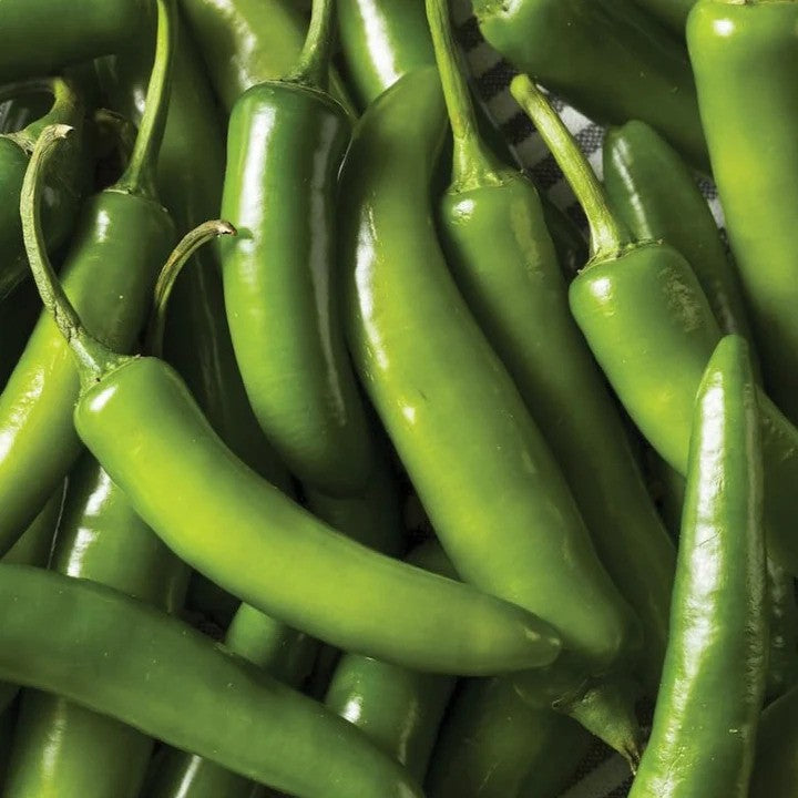 MIgardener Serrano Tampiqueno Seed Packet