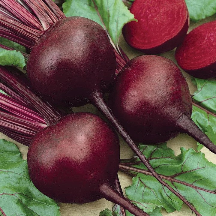 MIgardener Detroit Dark Red Beet Seed Packet