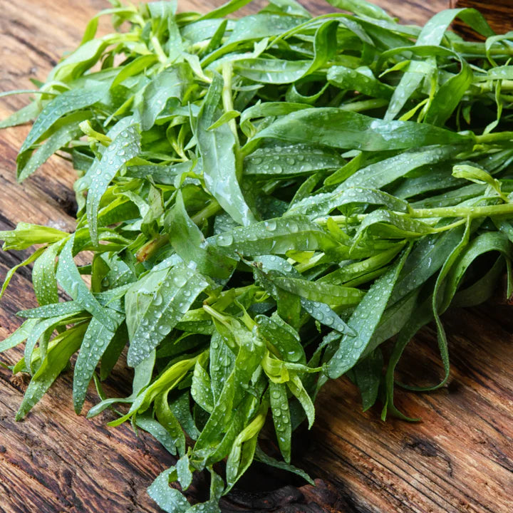 MIgardener Russian Tarragon Seed Packet