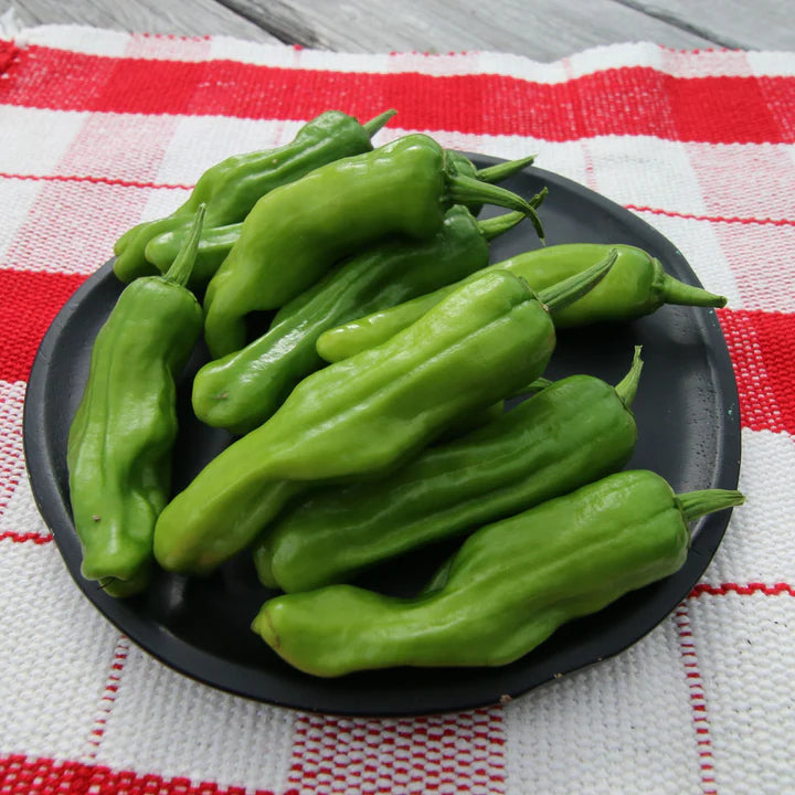 MIgardener Pepperoncini Pepper Seed Packet