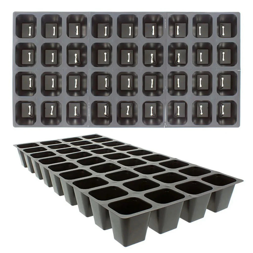 Traditional 6 Cell Inserts