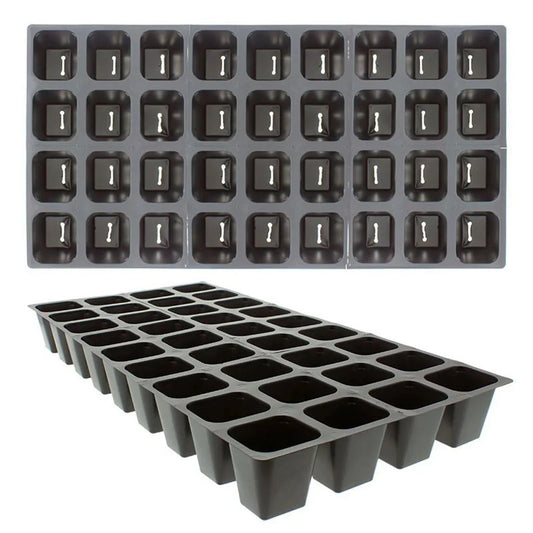 Traditional 6 Cell Inserts