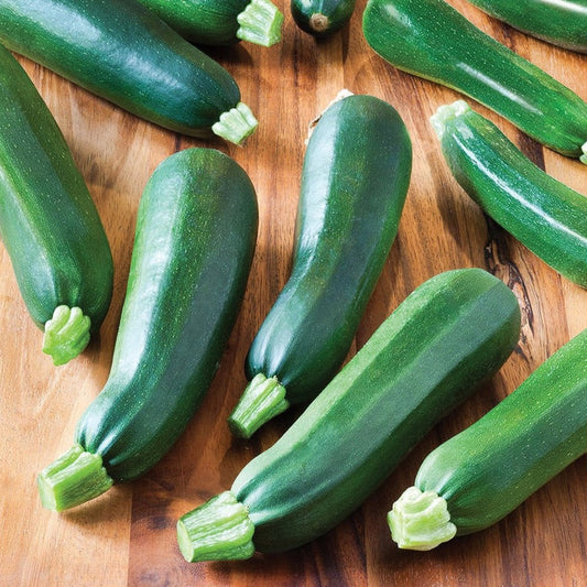 MIgardener Zucchini Black Beauty Seed Packet
