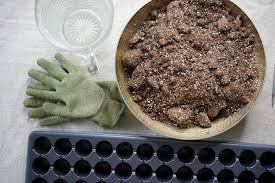 Seed Starting Mix - Coco Coir Based
