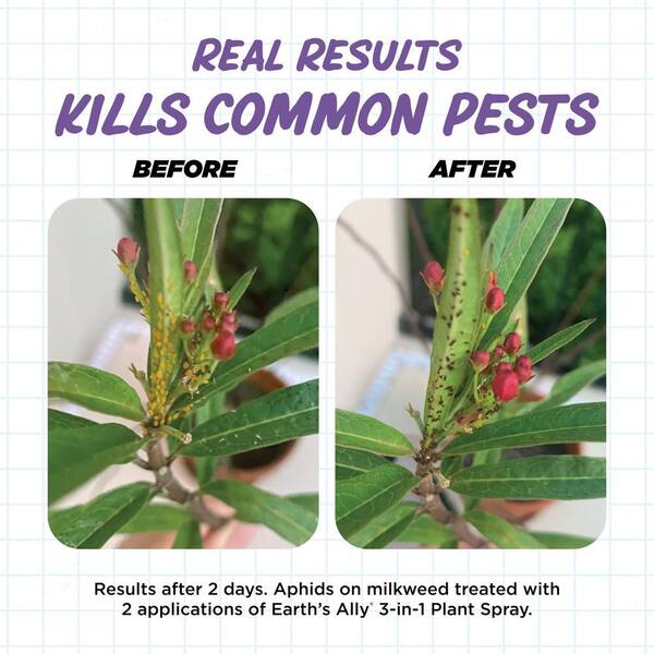 Earth's Ally 3-in-1 Plant Spray, Insecticide, Miticide, Fungiside