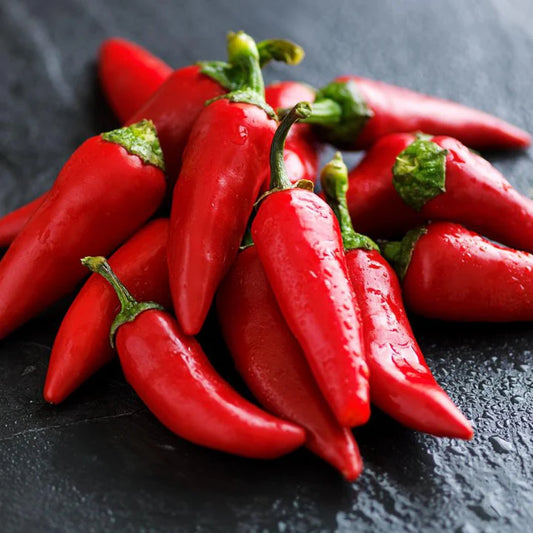 Fresno Chili - Pepper Plant Start - 4.33" Pot