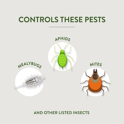 Garden Safe Insecticidal Soap