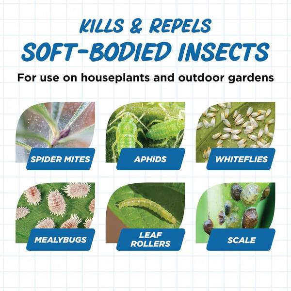 Earth's Ally Insect Control