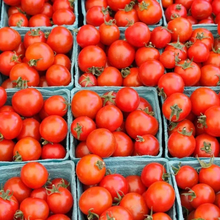 MIgardener Bing Cherry Tomato Seed Packet