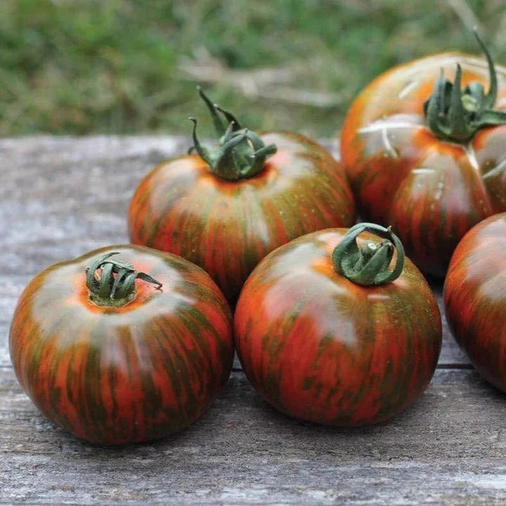MIgardener Chocolate Stripes Tomato Seed Packet