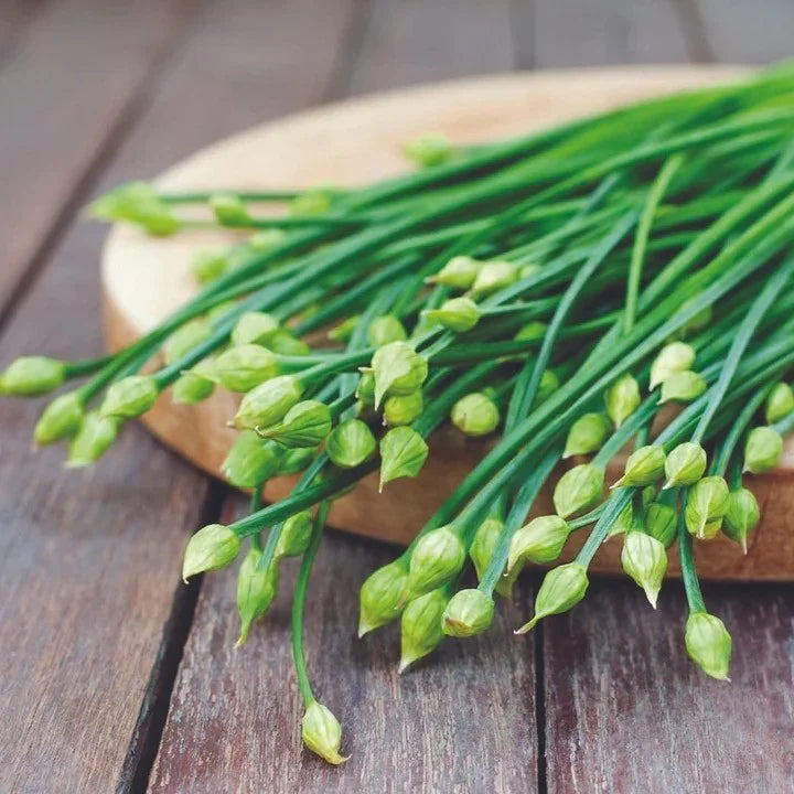 MIgardener Garlic Chives Seed Packet