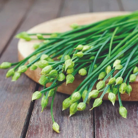 MIgardener Garlic Chives Seed Packet