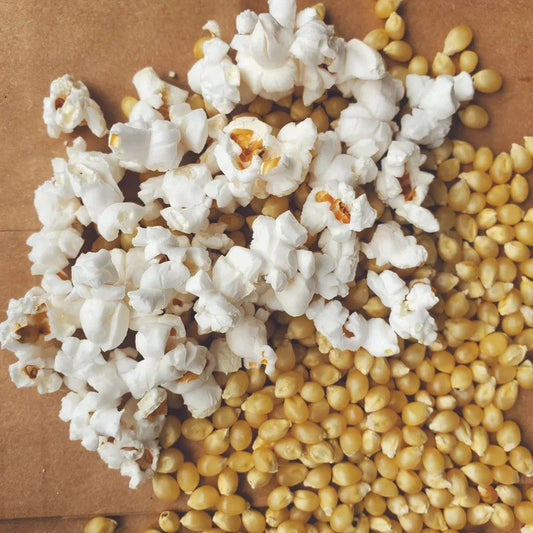 MIgardener Japanese Hulless Popcorn Seed Packet