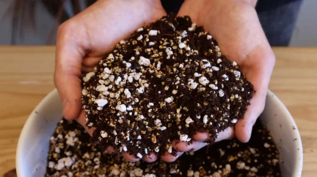 Seed Starting Mix - Peat Based