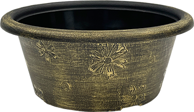 12" Sunflower Bowl - Black/Gold Brushed