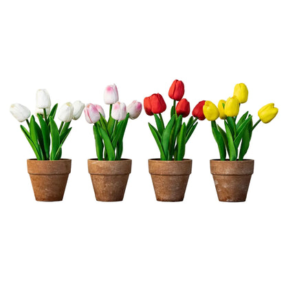 Tulip - Various Colors